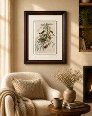 Orchard Oriole Bird Print "24x30" Inches