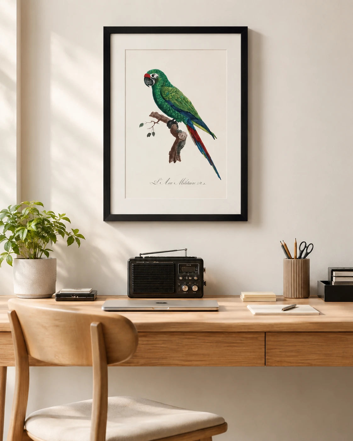 Military Macaw Bird Print 