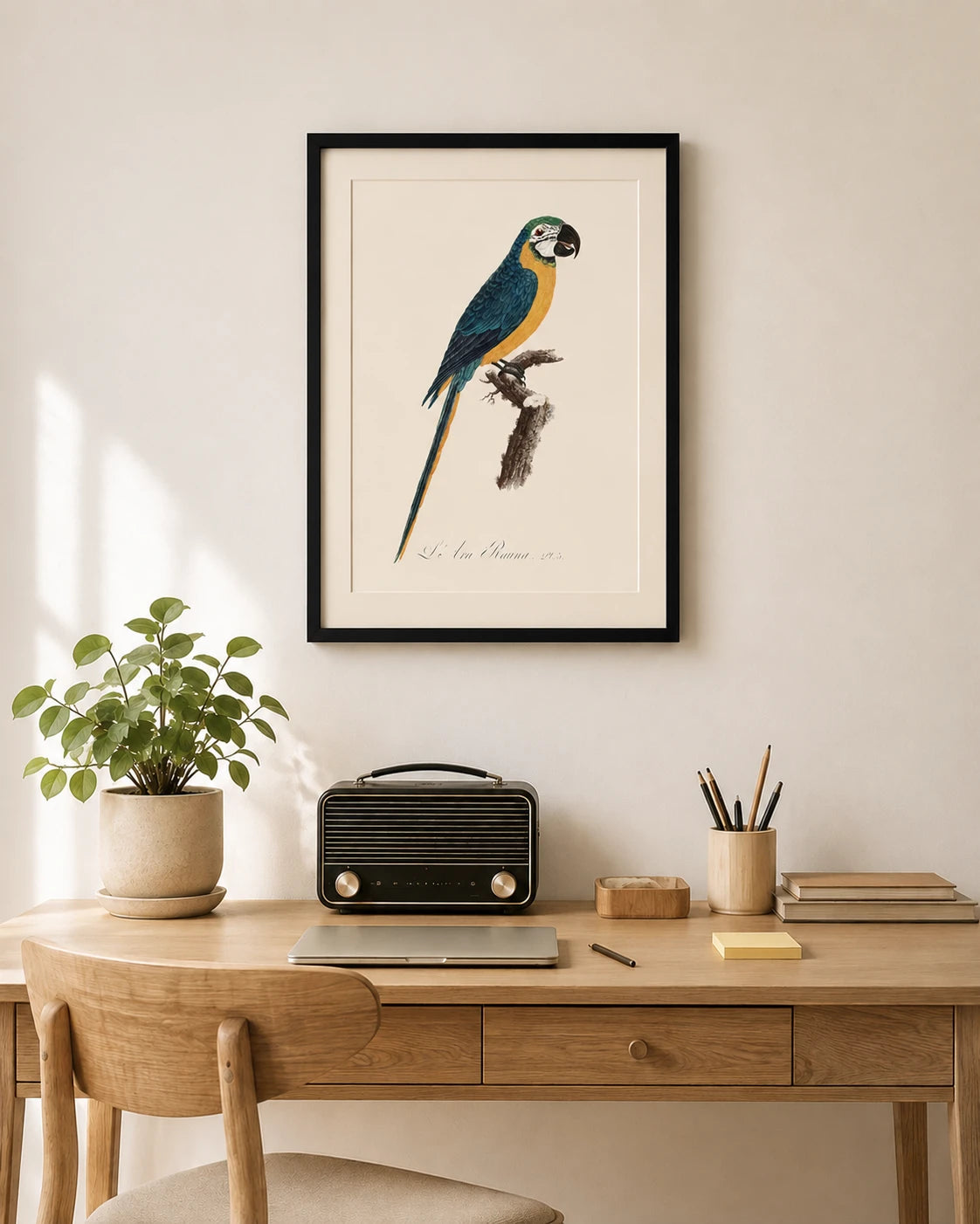 Levaillant Parrot Bird Print 