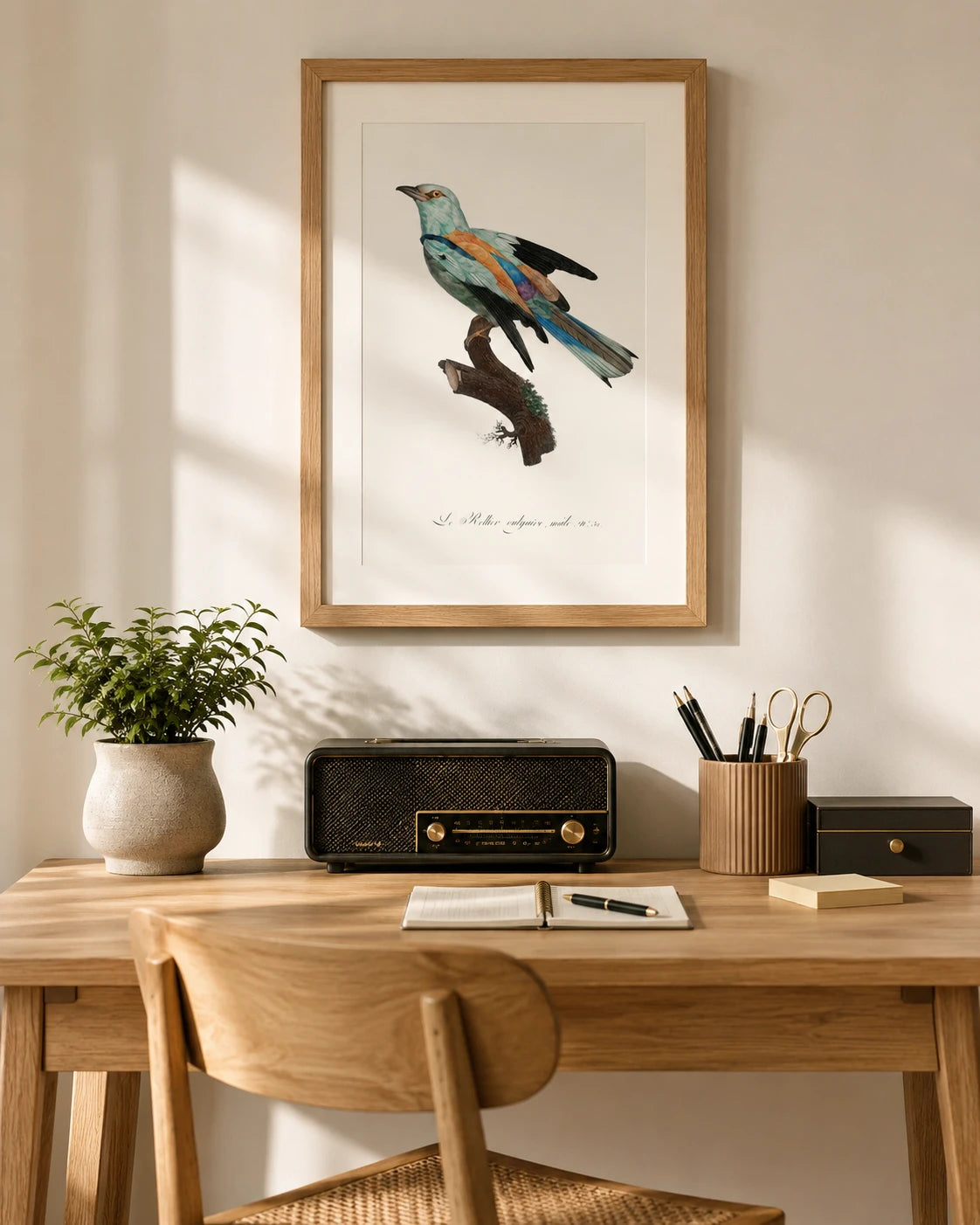 Abyssinian roller Bird Print 