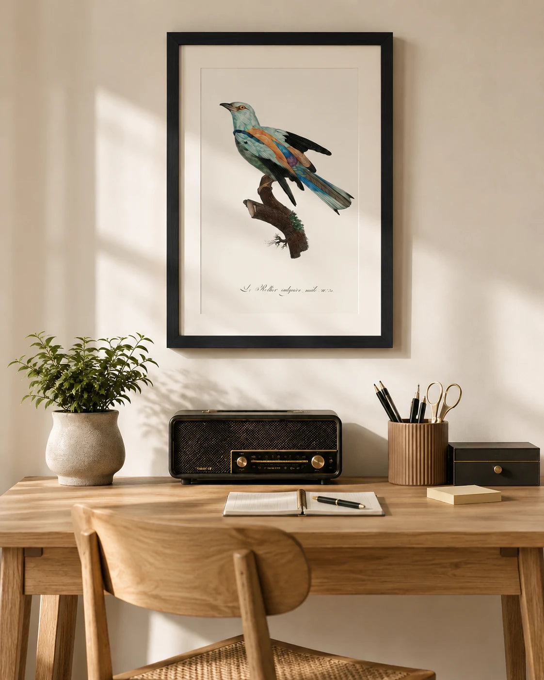 Abyssinian roller Bird Print 