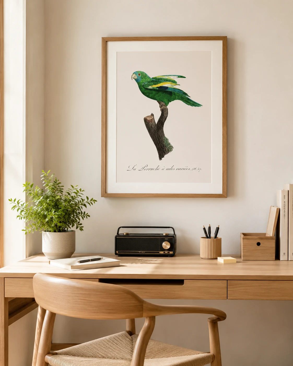 Canary Winged Parakeet Bird Print 