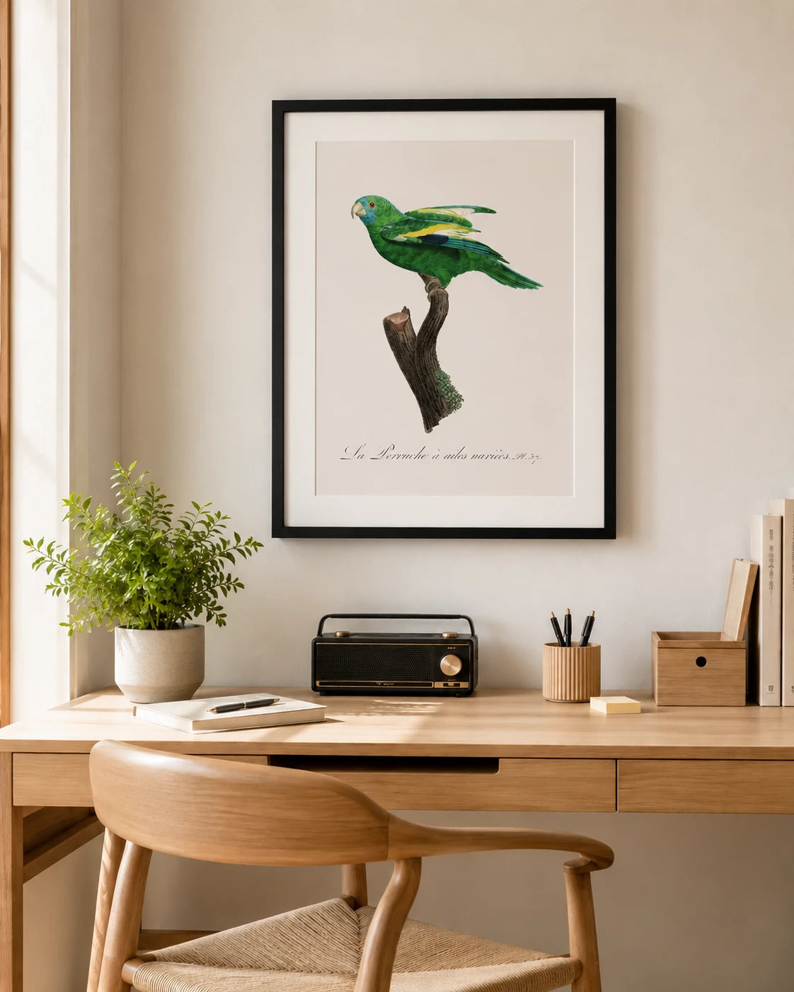Canary Winged Parakeet Bird Print 