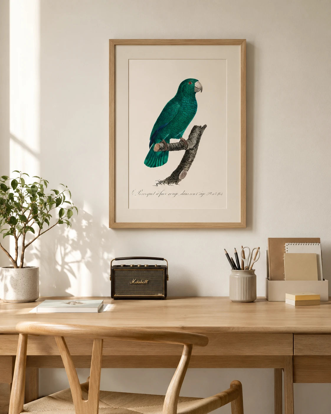 Cuban Parrot Bird Print 