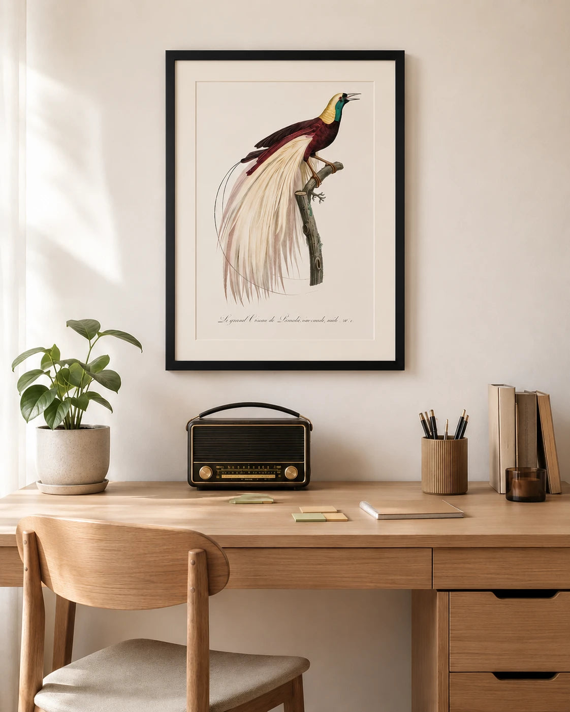 Emperor bird of paradise Print 