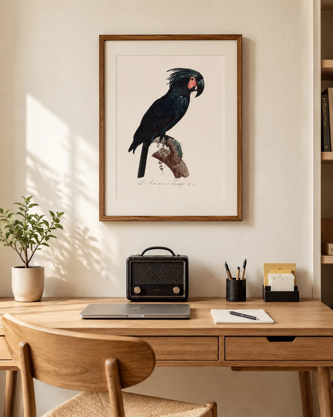 Goliath Cockatoo Bird Print 
