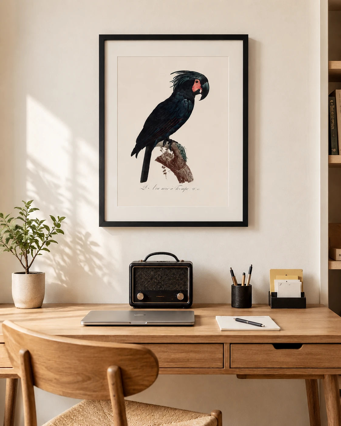 Goliath Cockatoo Bird Print 