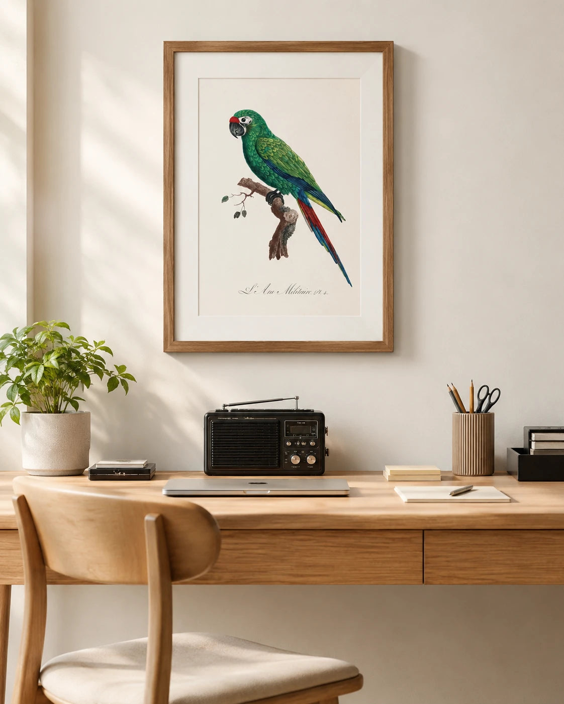 Military Macaw Bird Print 