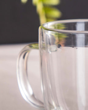Thermal Double Walled Glass Coffee Mug