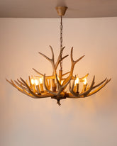 The Antler 8 - Light Geometric Chandelier - The Decor Kart 