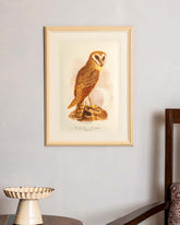 The Java Owl Framed Wall Art - The Decor Kart