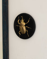 Gold Beetle Wall Accent - Small