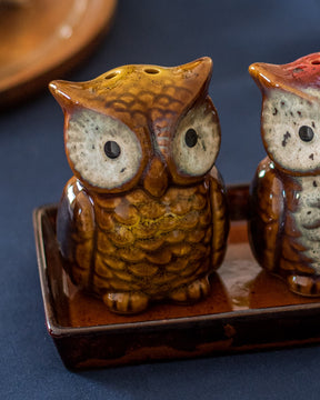 Owl Salt & Pepper Shaker Set - The Decor Kart 