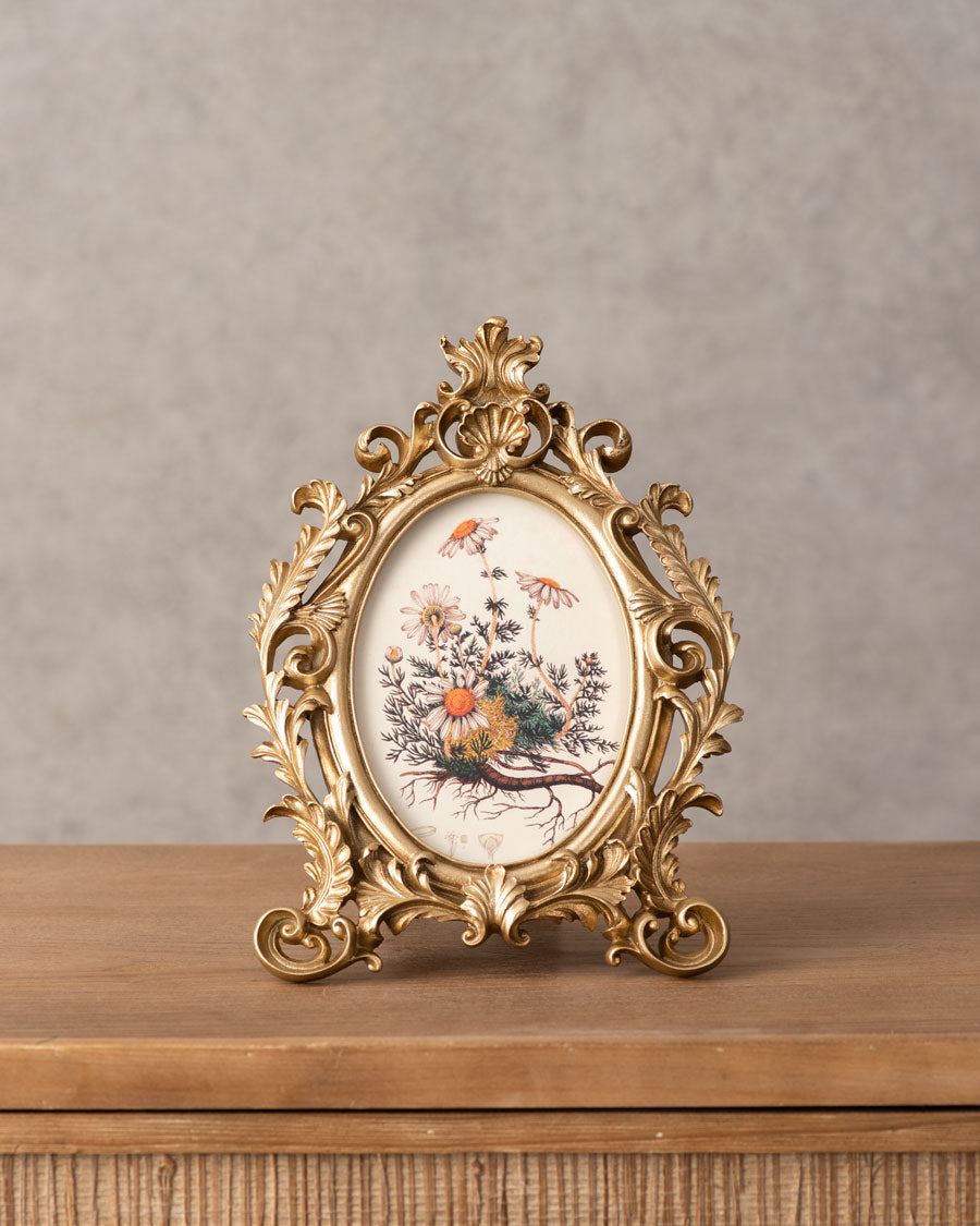 Designer Photo Frames
