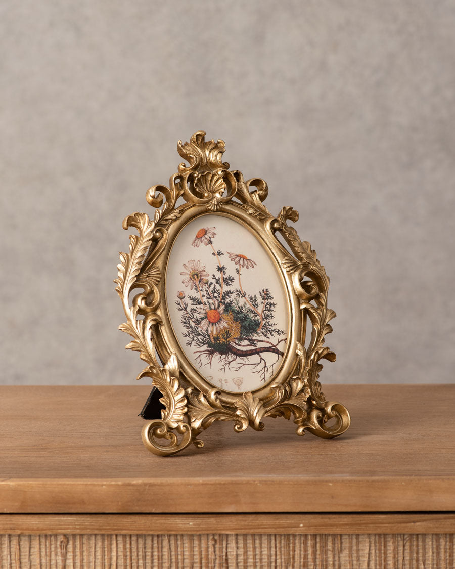 Designer Photo Frames
