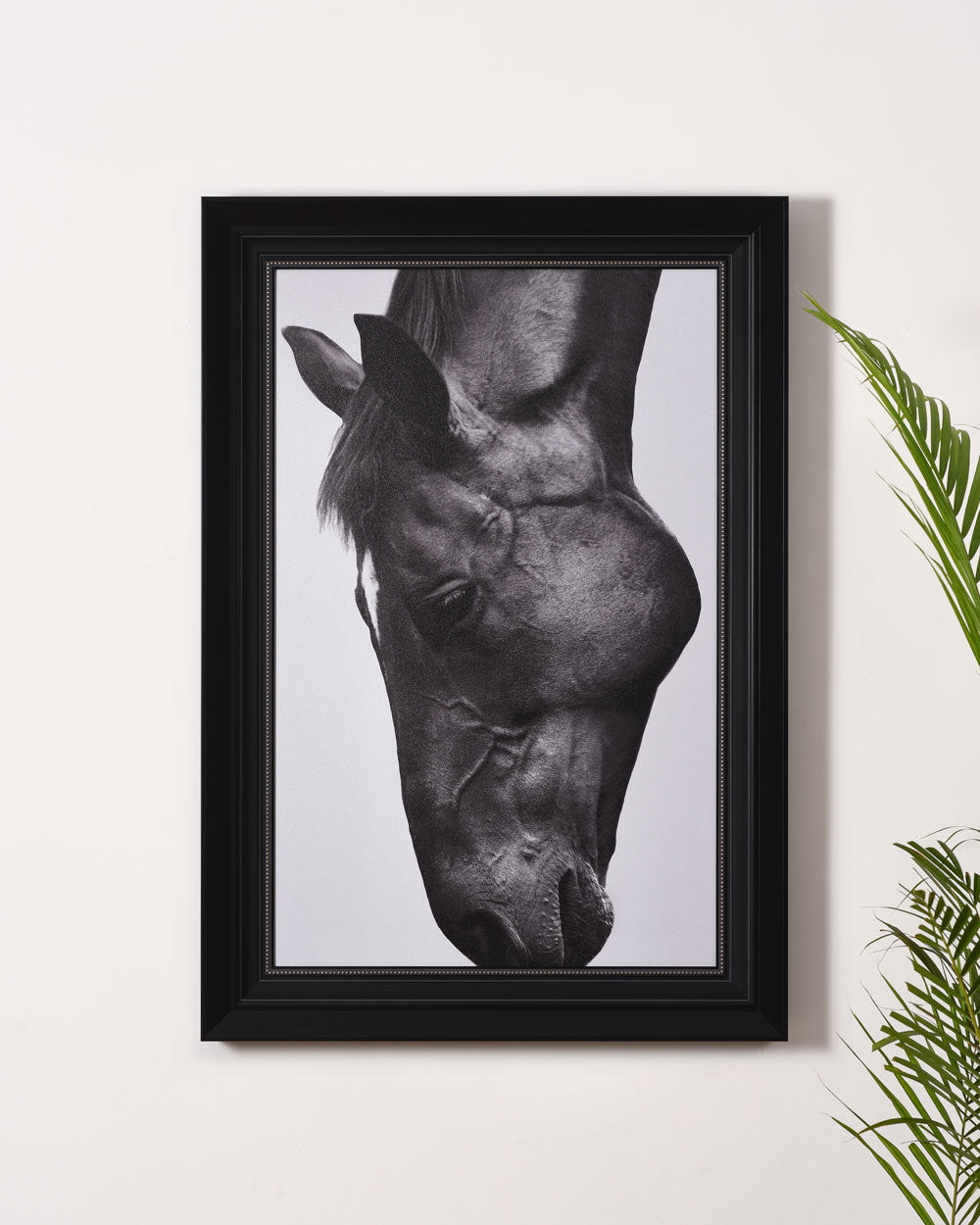 'Equus' Sandblast Framed Wall Art - The Decor Kart