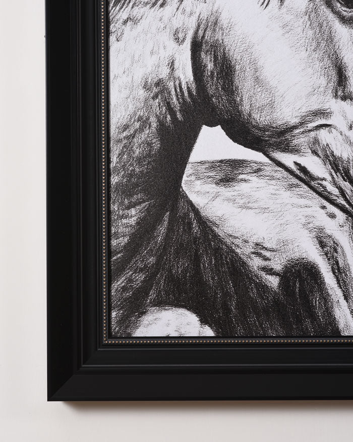 'Equine' Sandblast Framed Wall Art - The Decor Kart