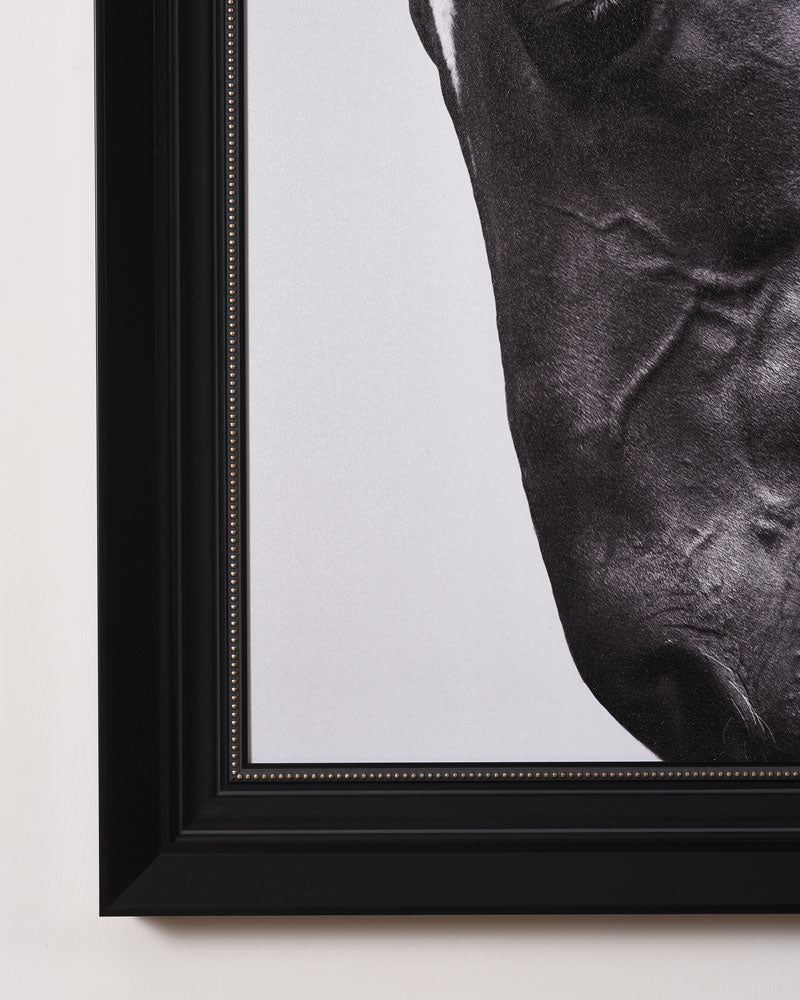 'Equus' Sandblast Framed Wall Art - The Decor Kart