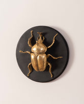 Gold Beetle Wall Accent - Large - The Decor Kart 