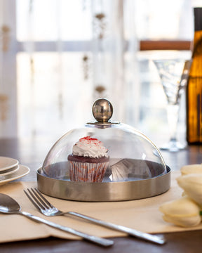 Silver Stainless Steel Cake Plate with Fiber Dome