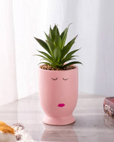 EMOJI - Faux Potted Succulent